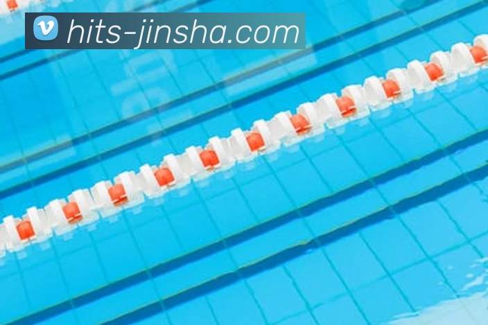 澳门金沙官网平台生态图